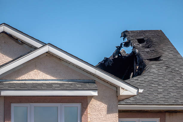 Top rated local Fire Board Up specialists in Vermillion, MN